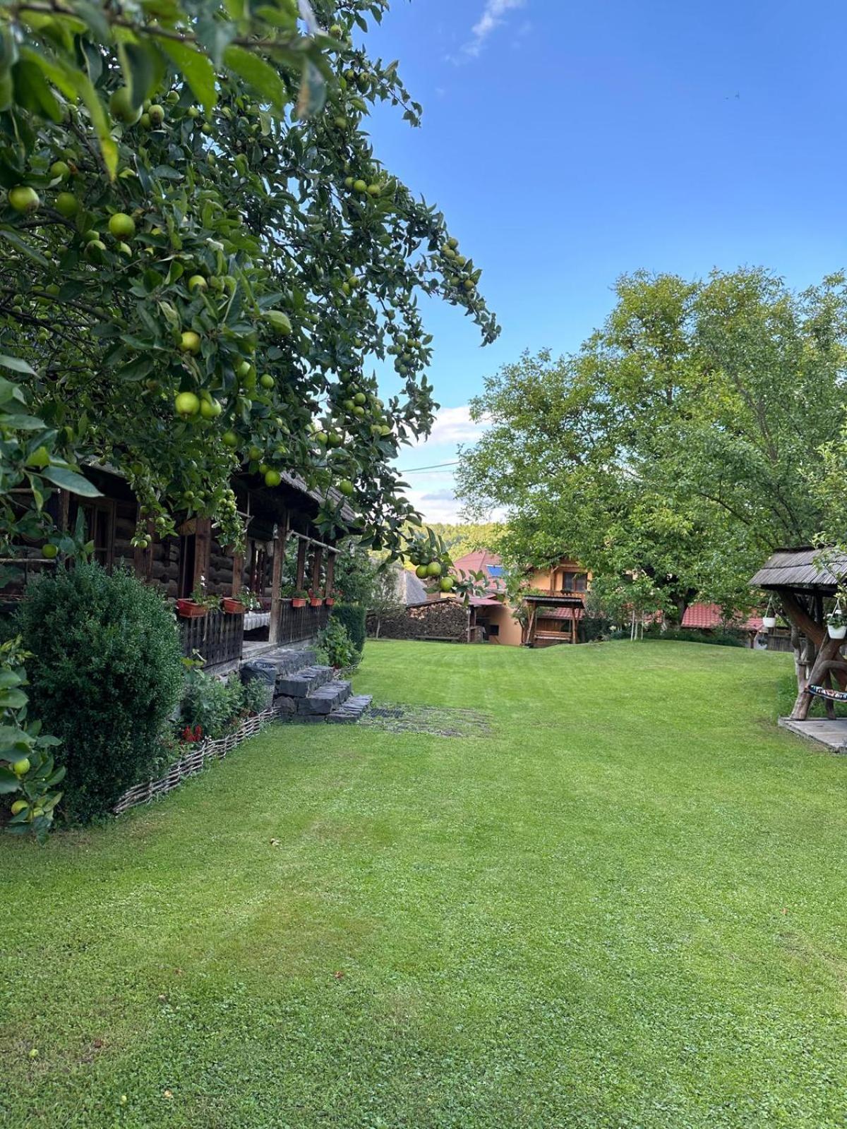 Maison d'hôtes Pensiunea Marioara 3*