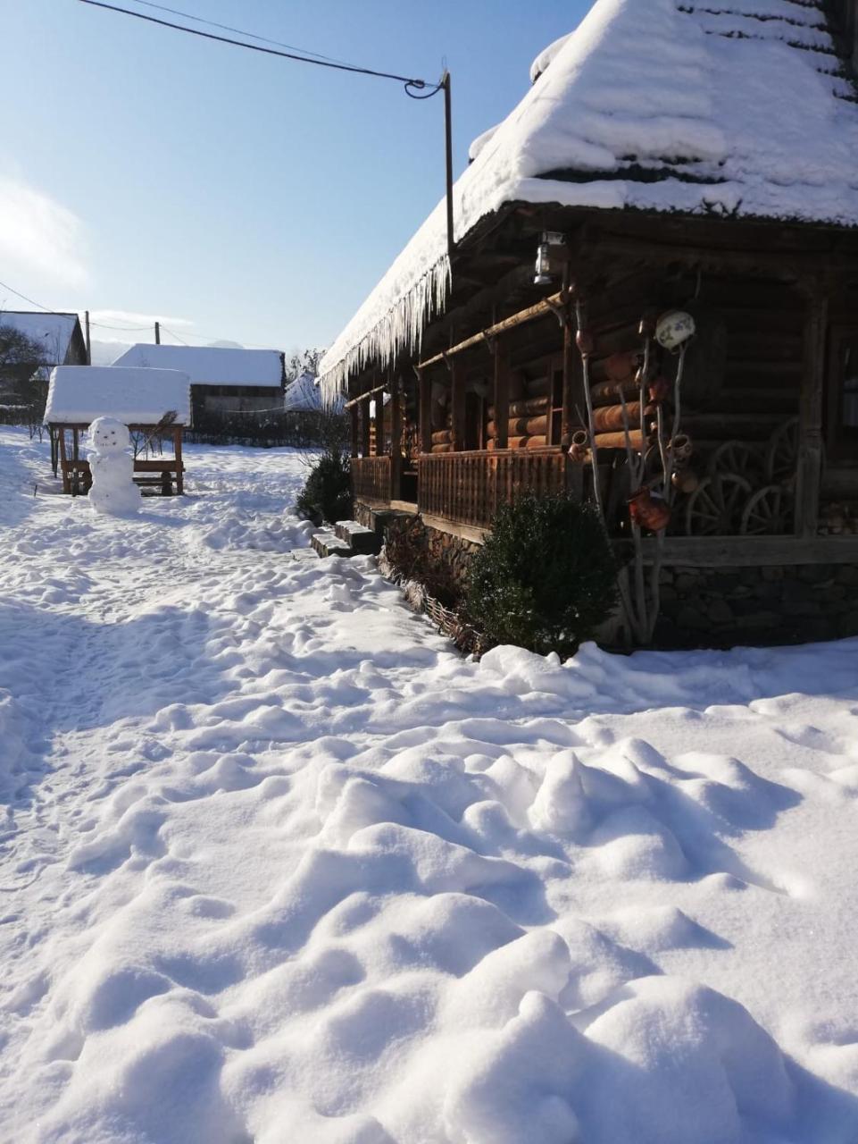 Maison d'hôtes Pensiunea Marioara Breb